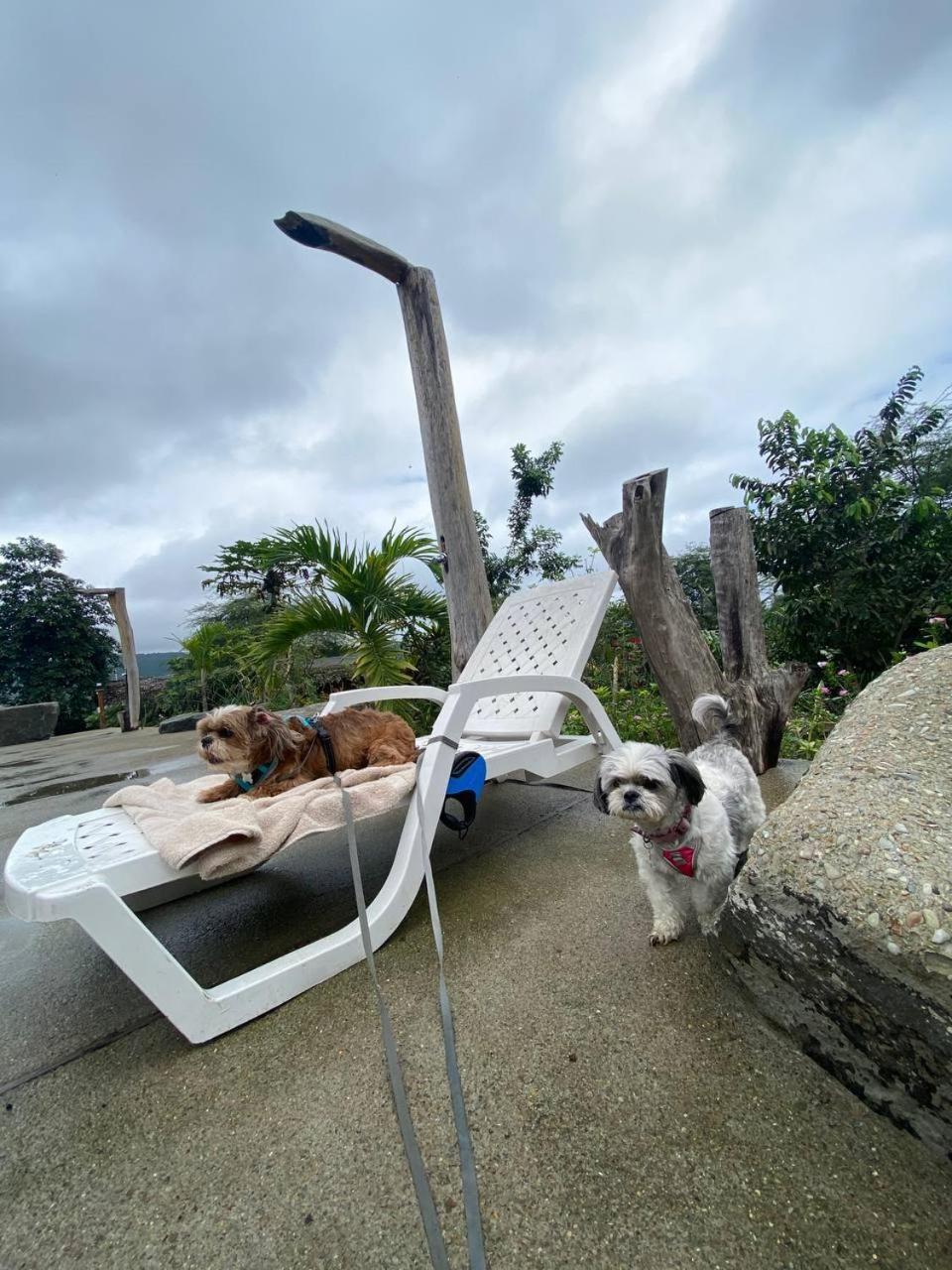 Casa Albura Hotel ปูแอร์โตโลเปซ ภายนอก รูปภาพ